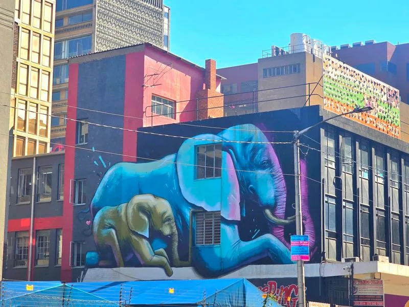 PHOTO ESSAY: Johannesburg’s walls are giant canvases for the city’s stories