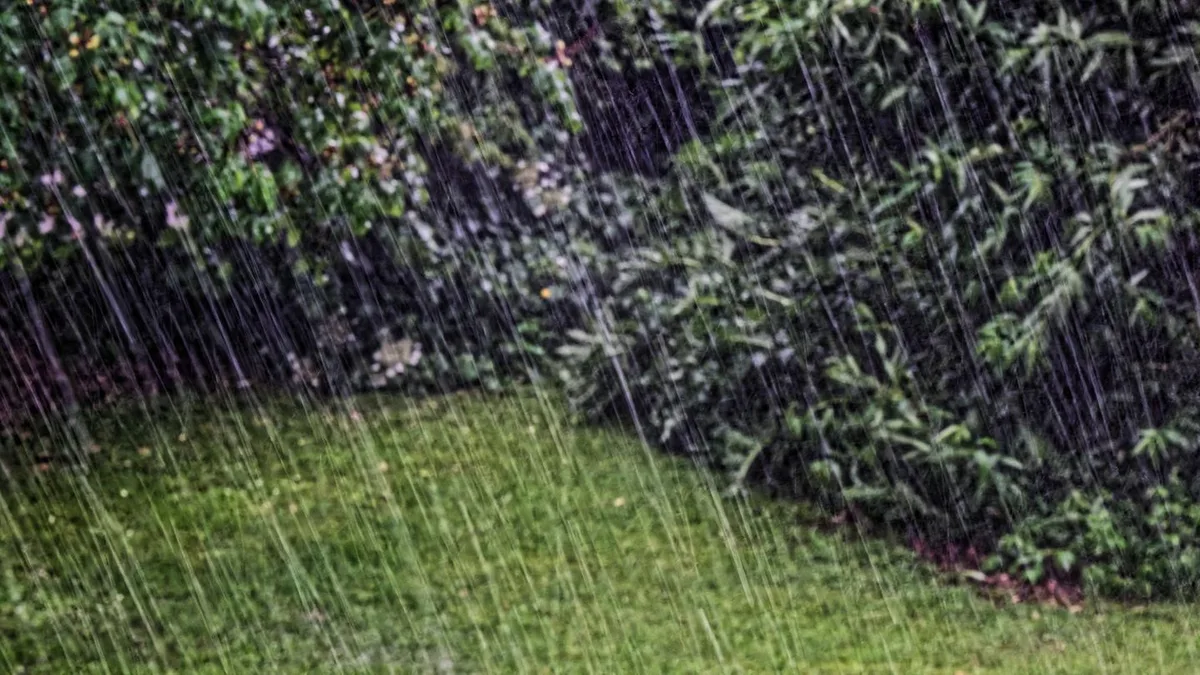 Herbstpflege: So lassen sich Rasen und Garten vor Starkregen und Dauernässe schützen