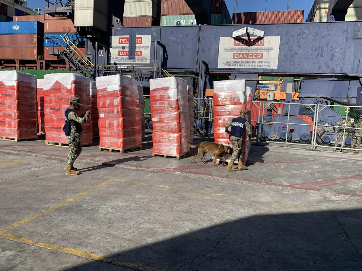 ‘Rini’, binomio canino, detecta 1.3 toneladas de metanfetamina en Aduana de Tijuana