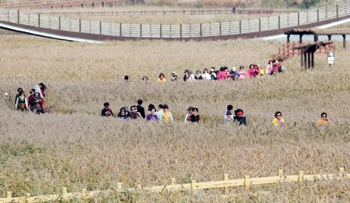 강진 '반값여행' 신청 1천604팀…접수 2주 만에 조기마감