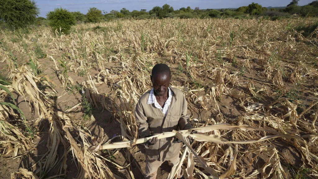 Les États-Unis bloquent les négociations à la COP17 sur la lutte contre la désertification