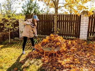 L’automne arrive, que faire au jardin ? Posez toutes vos questions à notre spécialiste, il vous répondra en direct