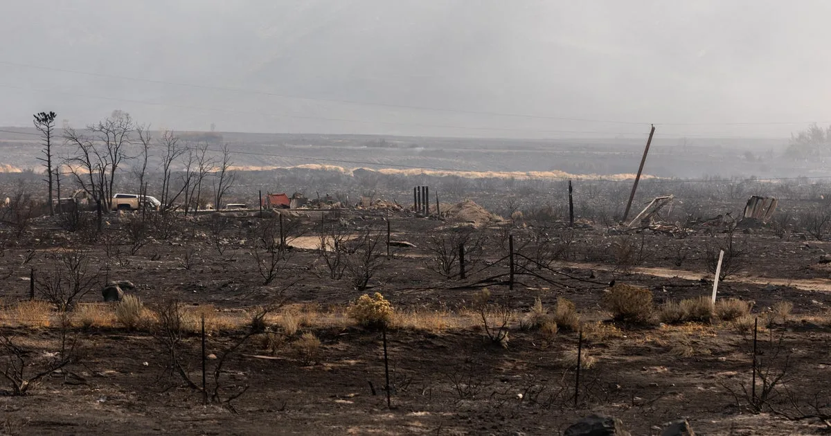 Out-of-control Hawk Fire in Reno, Nevada keeping tens of thousands evacuated