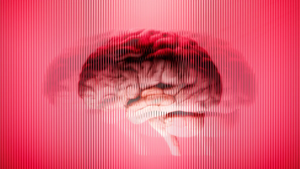 Scientists just discovered a big limitation in lab-grown minibrains — they have a skewed 'sense of time'