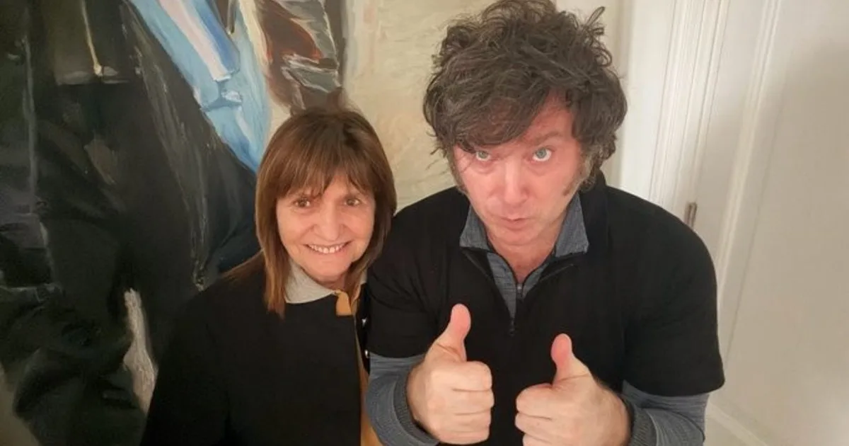 Javier Milei publicó 121 tuits en trece días: de los "sicarios con micrófono" a la auto celebración por la economía