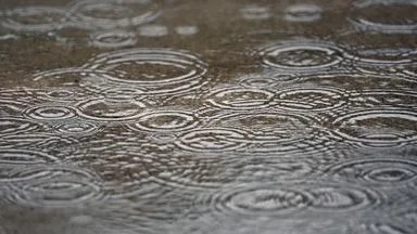 Was der Regen trockenen Böden jetzt wirklich bringt