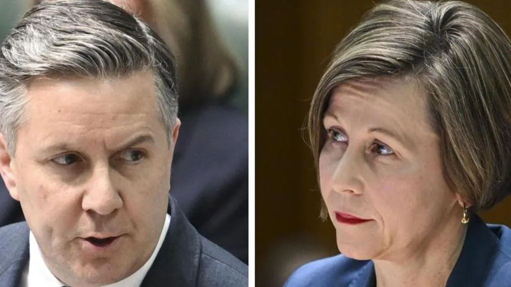 NDIS reform likely to pass with 63 amendments, Health Minister Mark Butler says