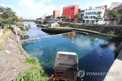 제주 주요 하천 12곳 3분기 수질 모두 '양호'