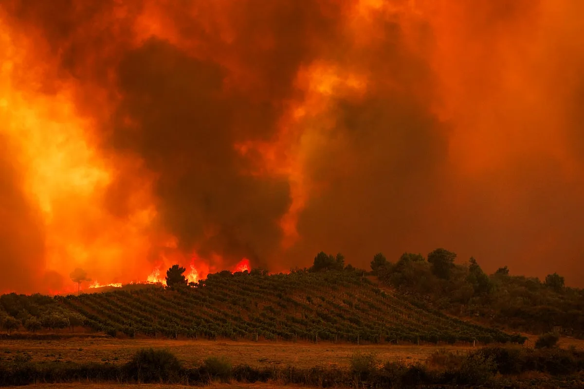 População local pede responsabilidades pelo incêndio em Carrazeda de Ansiães. Proteção Civil vai avaliar a resposta ao fogo