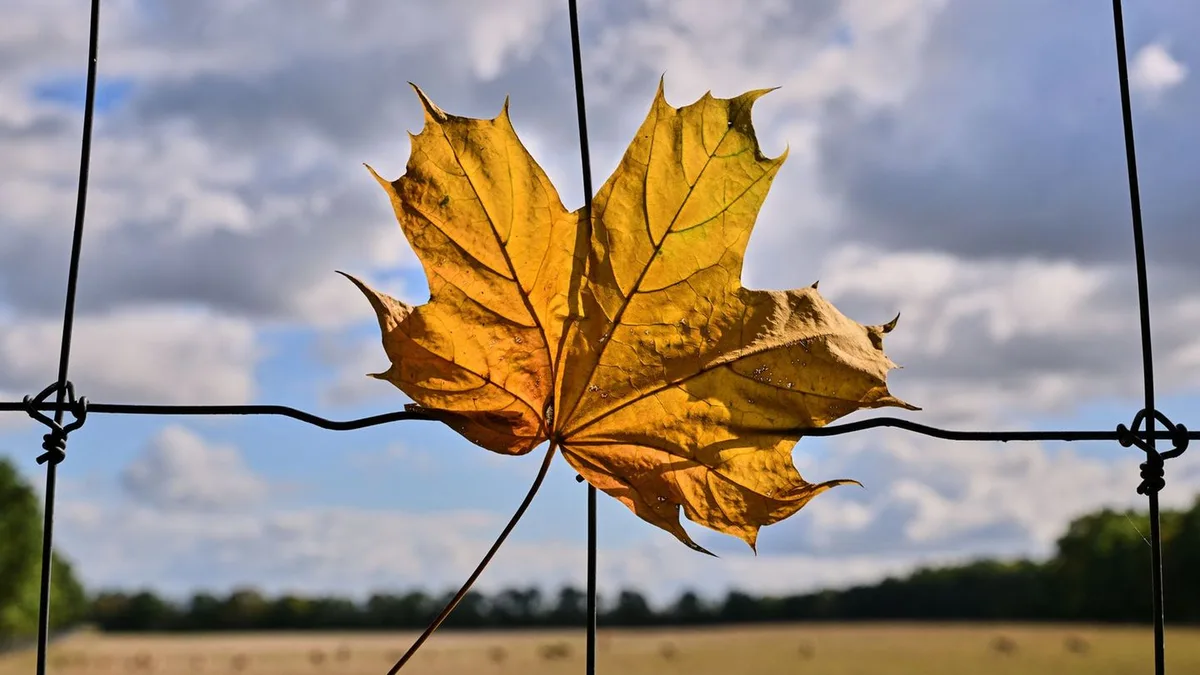 Wetter: Wolken und Sonne, dann Frost in Berlin und Brandenburg