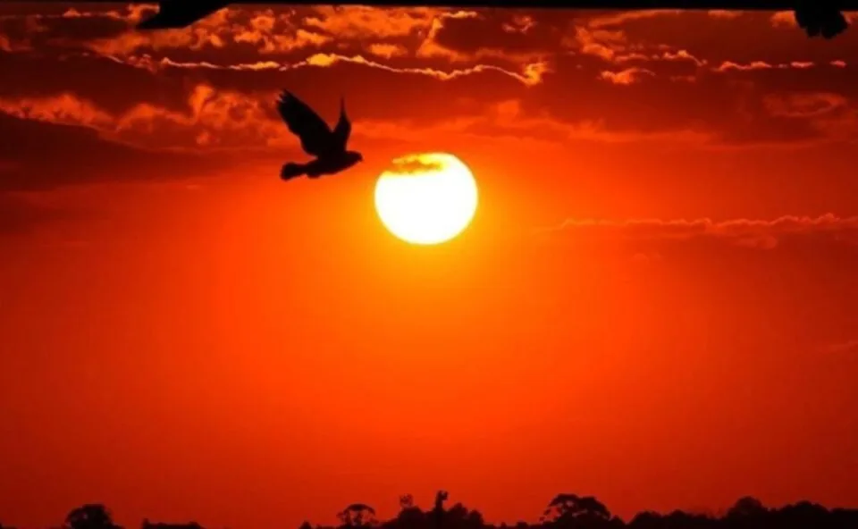 Frio perde força e Paraná entra em onda de calor intensa de até 40°C; Curitiba terá mudança brusca nas temperaturas