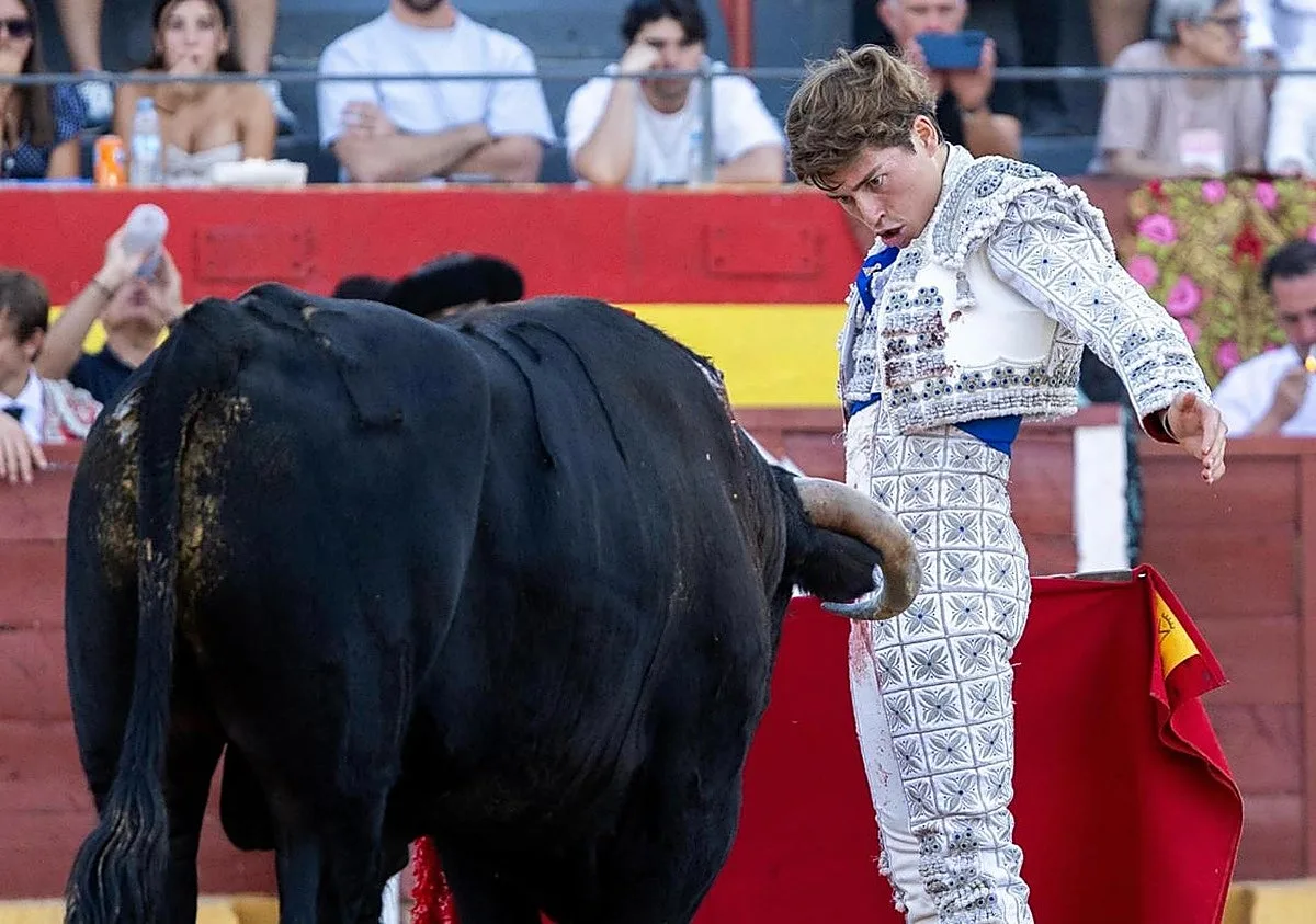 Toros en Las Ventas de Madrid por la Feria de Otoño, en directo: última hora de los novillos con Álvaro Serrano hoy