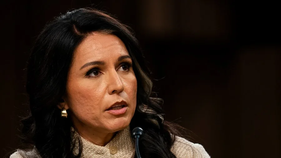 Gabbard shares emotional update on husband’s cancer months after White House exit