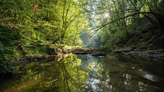 Wetterbericht: Sonne und milde Temperaturen – dann folgt Regen im Südwesten