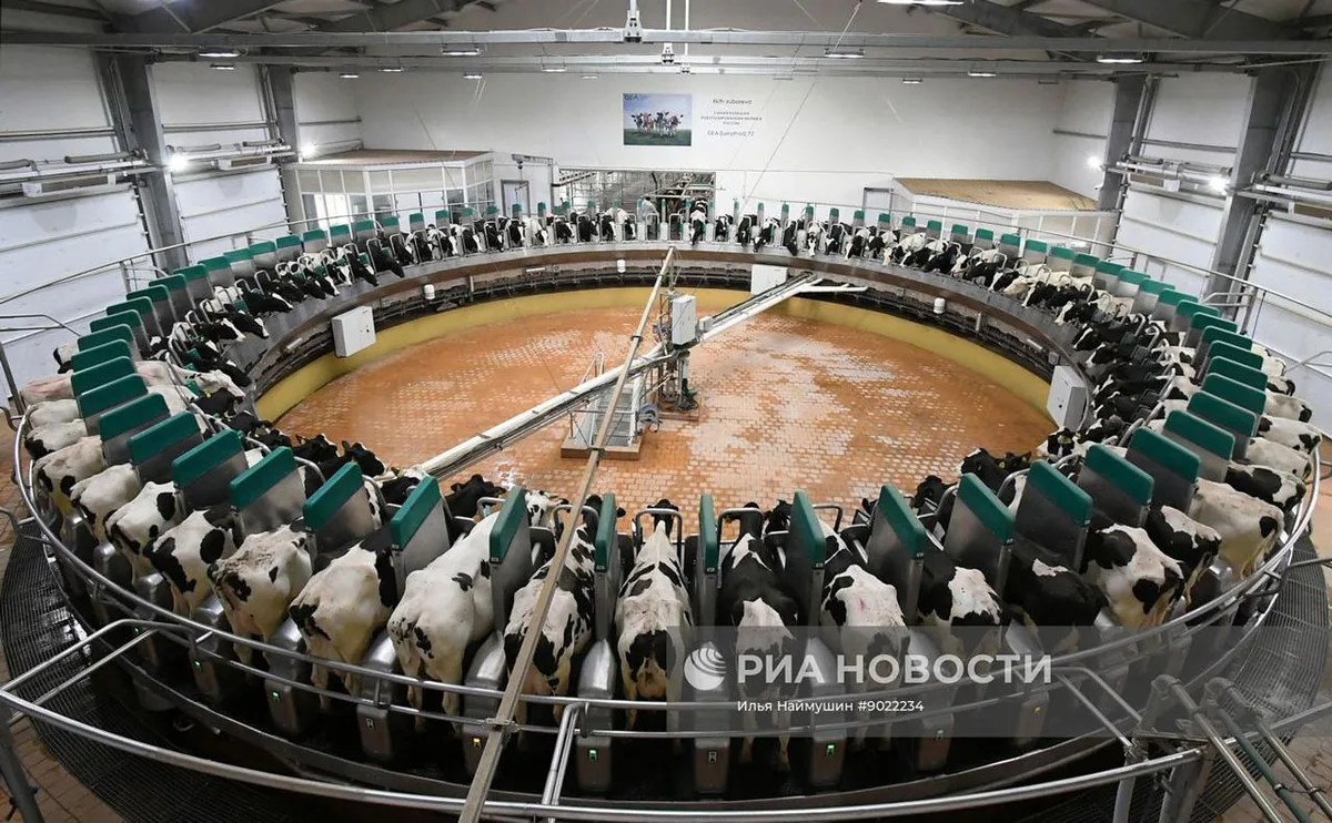 Искусственный интеллект и роботы: что дает цифровизация АПК