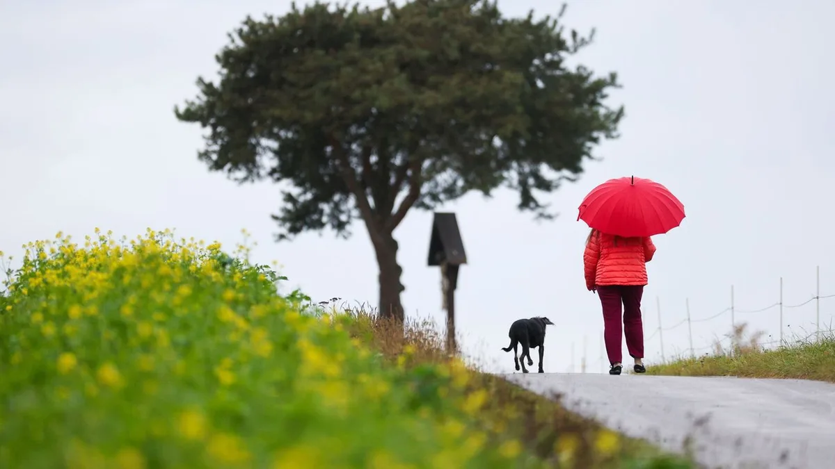 Wetter: So kühl und nass wird der letzte Tag der Woche im Südwesten