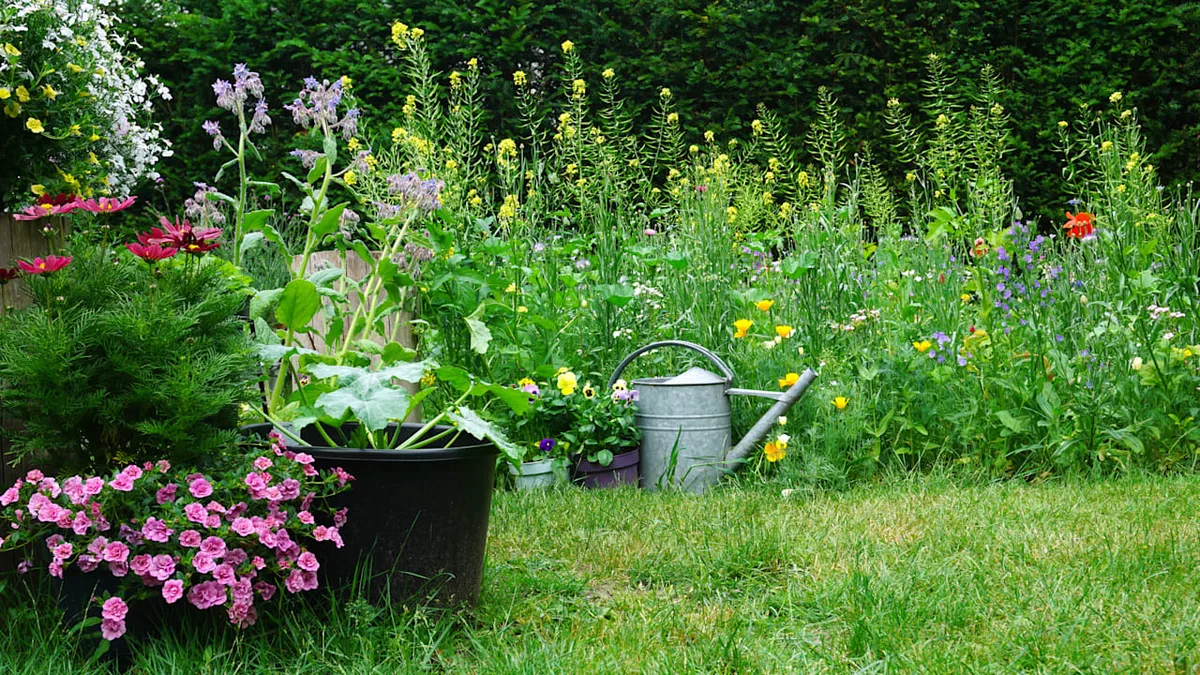 Regenwasser clever nutzen - So wird Ihr Garten zum Wasserspeicher