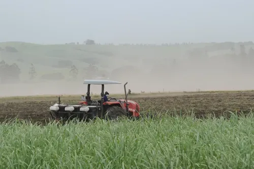 El Niño threatens South Africa’s farmers as dry, hot summer looms
