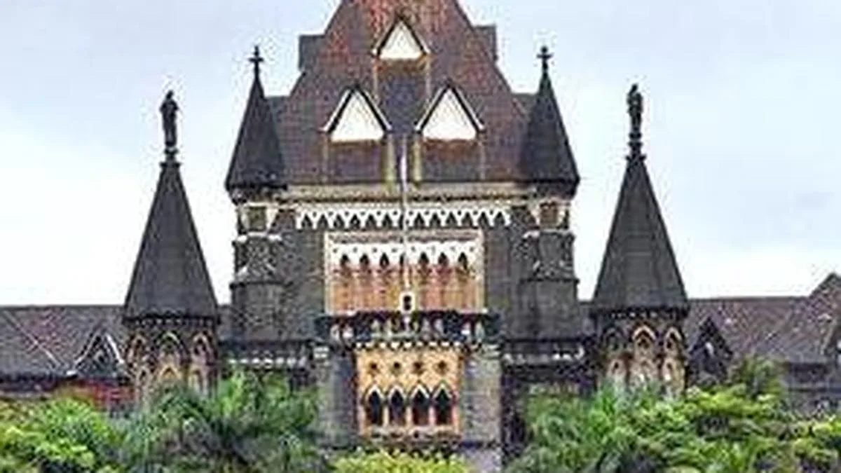 Routine disagreements not mental cruelty: HC; rejects man's divorce plea