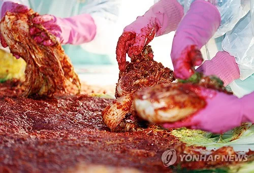 중국산 배추김치 등 포름알데히드 검사…82건 모두 불검출
