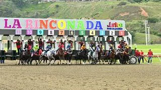 Pedigrí de Lujo: El Triplecoronado Taconeo dice presente con una nieta en el Clásico Lanzarina (GII)