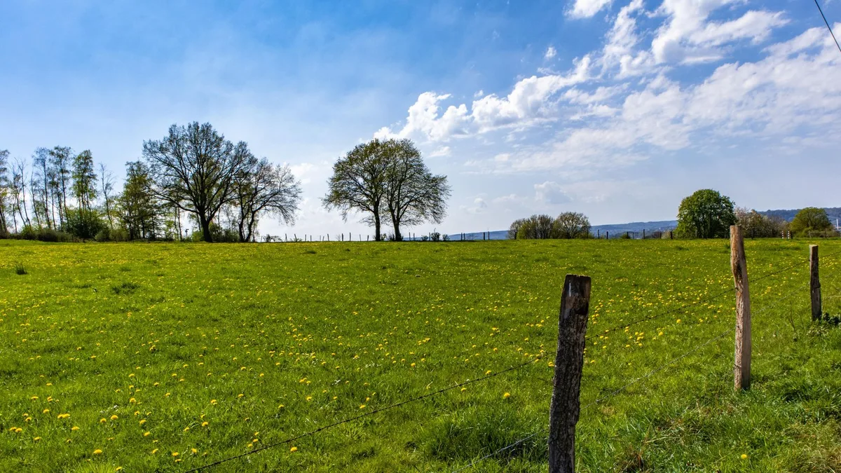 Ya es oficial: vender una finca en un espacio natural protegido puede dar al Gobierno prioridad para comprarla