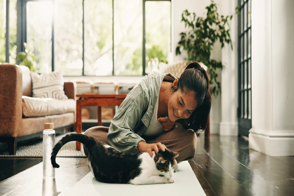 Gatos também pedem carinho: 7 comportamentos que mostram que eles querem atenção