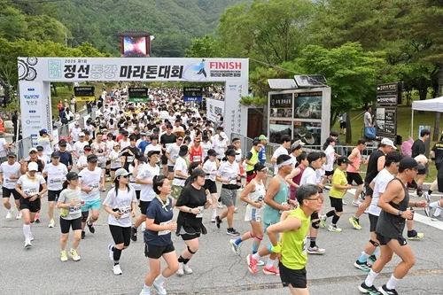 '동강 따라 미래를 달린다'…17일 정선 동강 마라톤대회