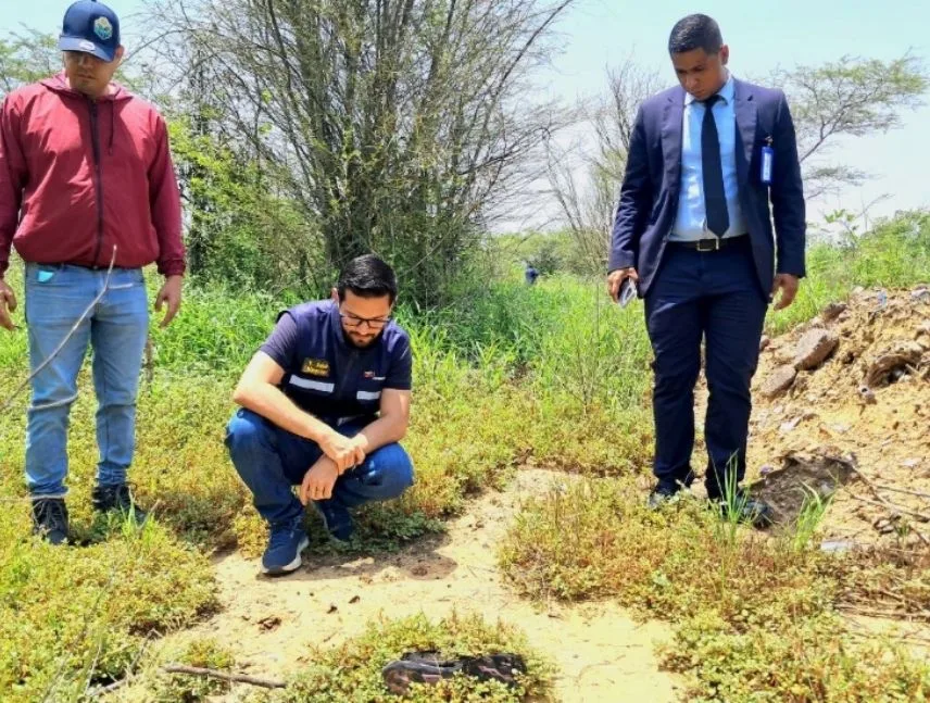 Investigan maltrato a oso melero en Anzoátegui