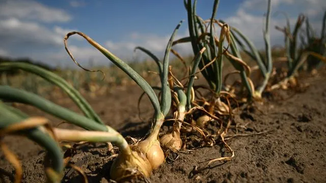 Inflation: Erzeugerpreise verzeichnen stärksten Anstieg seit drei Jahren
