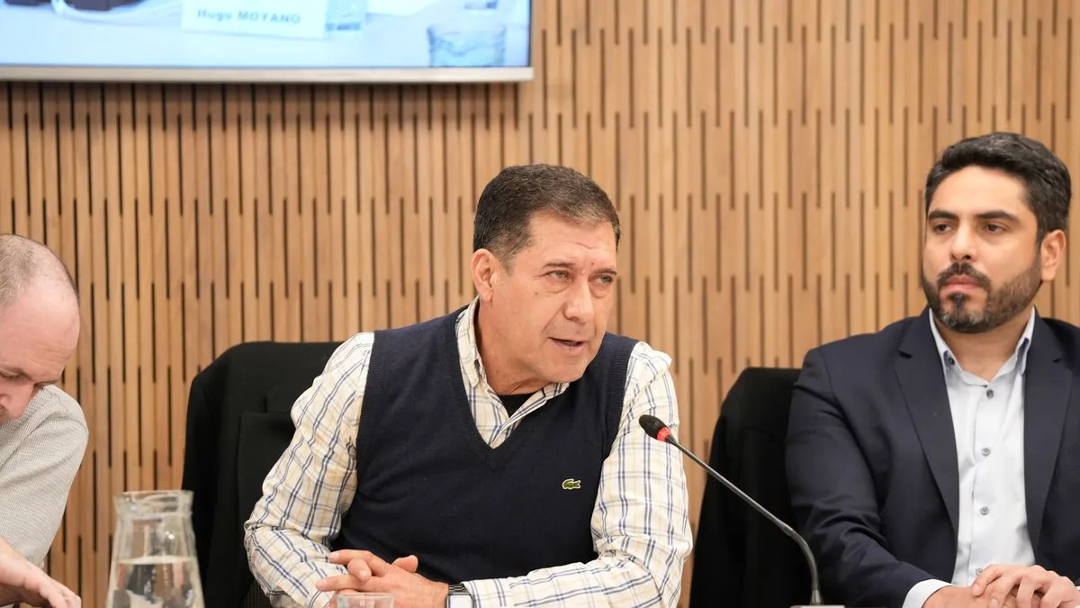 Diputados: la oposición arrinconó al oficialismo con morosidad y discapacidad