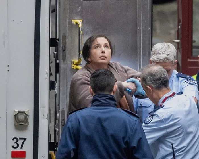 Erin Patterson argues mushroom murder convictions should be quashed due to ‘catastrophic’ failure of justice