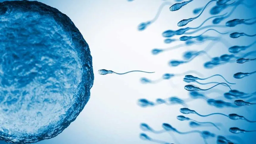VIRAL: Donante de esperma dice ser padre de 199 personas nacidas hasta en cuatro países
