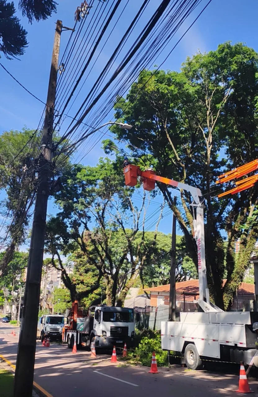 Copel faz poda de árvores em quatro bairros de Curitiba