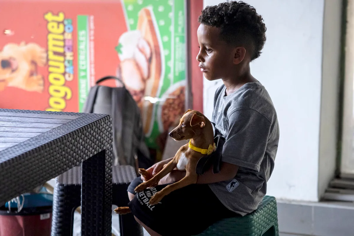 Mascotas víctimas de los sismos en Venezuela esperan por un hogar