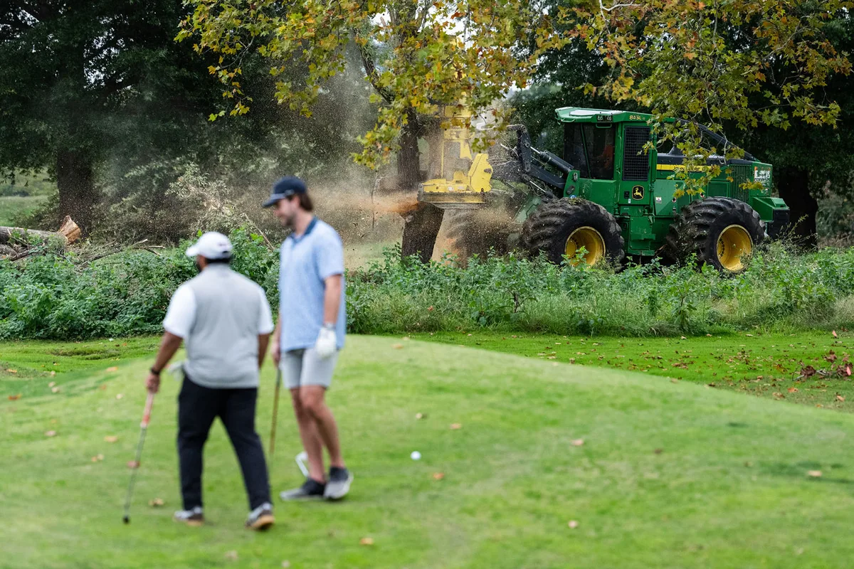 Judge tears into Trump administration for felling trees on D.C. golf course the president wants to remake