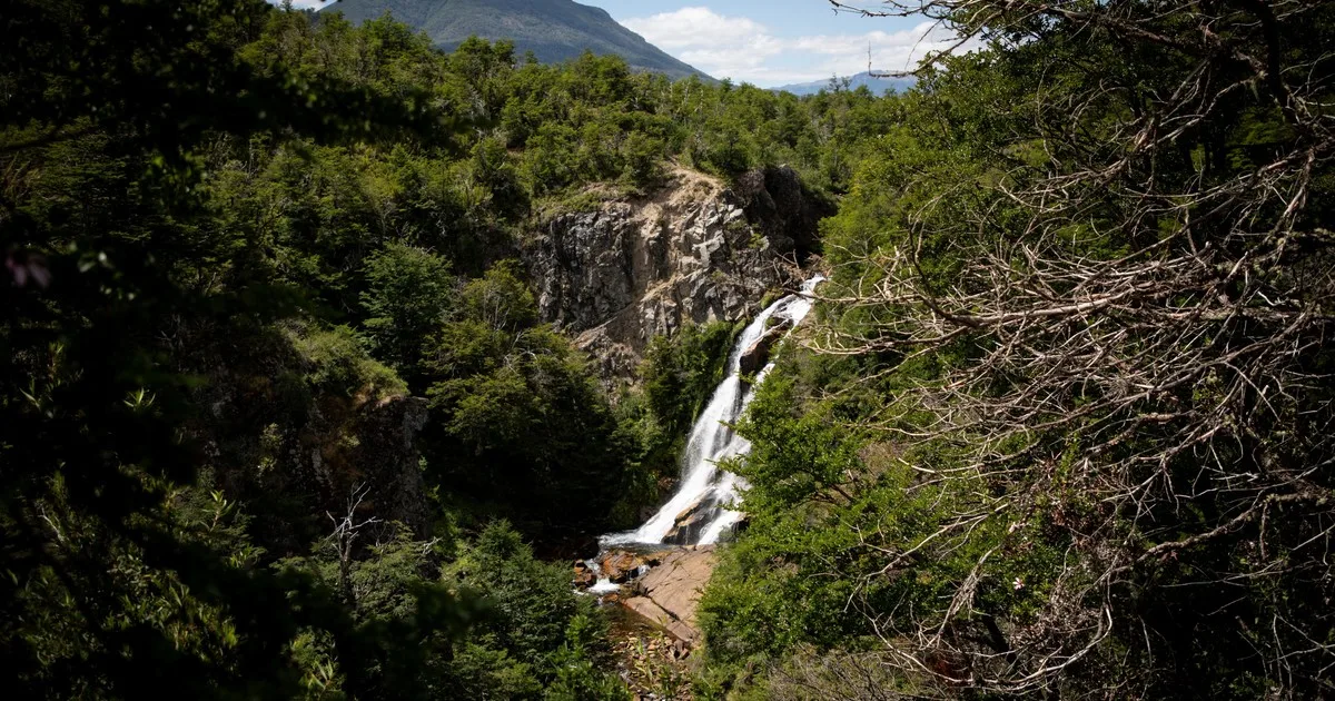 El campo de la Patagonia que Francisco Moreno donó en 1903 y se convirtió en un Parque Nacional que recibe más 600.000 visitantes al año