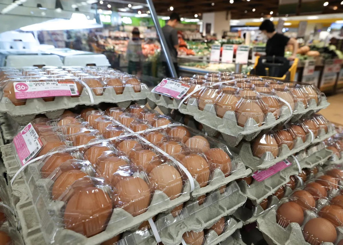 브라질산 계란 한판 수입가 4만4000원…올해만 16억 썼다, 왜?