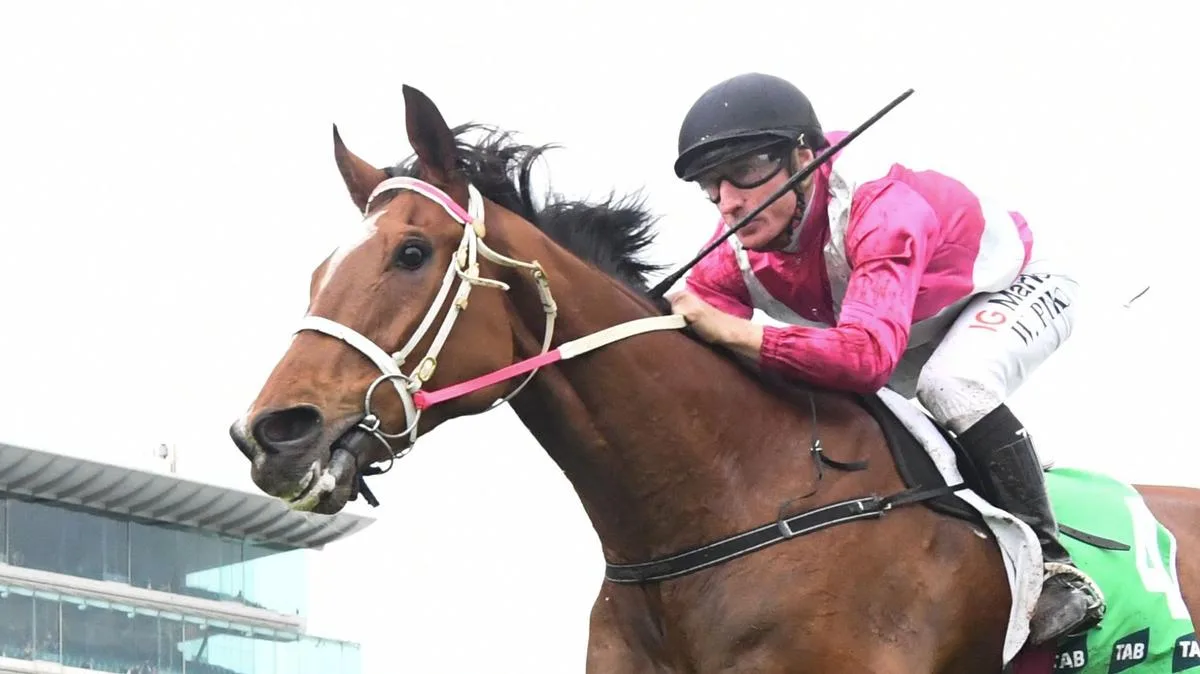 Mixed news for Caulfield Cup fancies after barrier draw