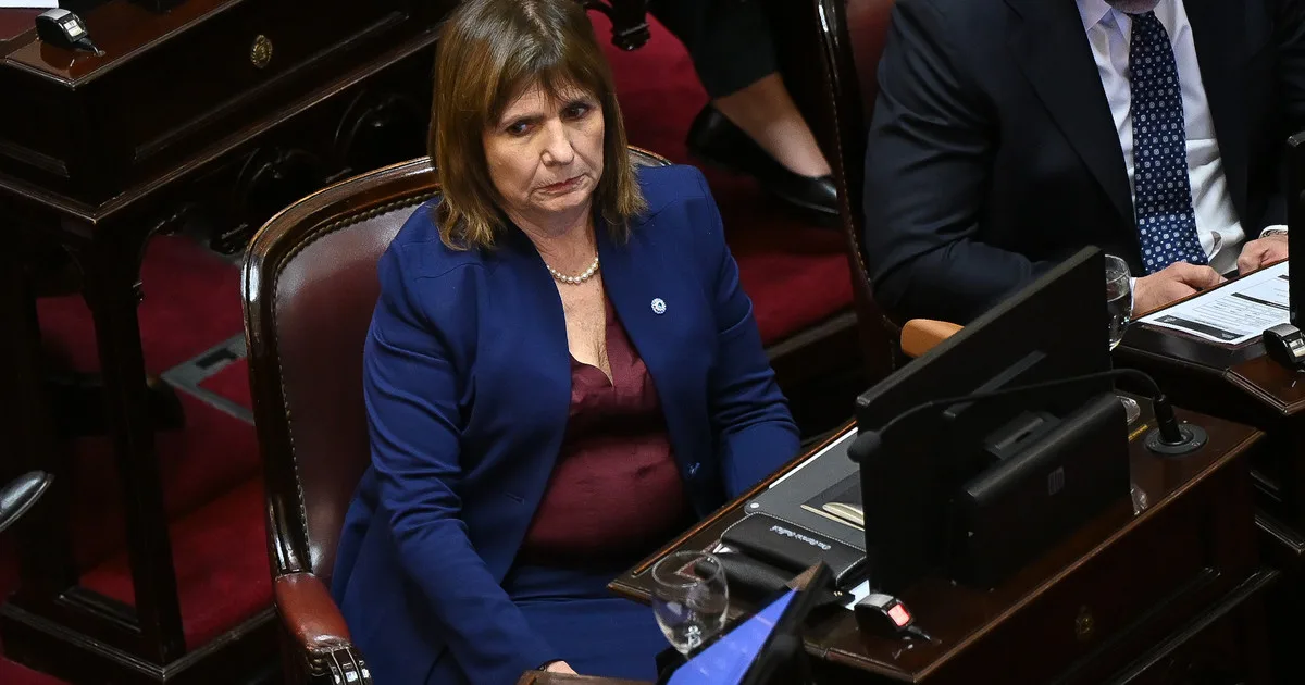 Imagen más alta que la de Milei, agenda propia y diferencias políticas: Patricia Bullrich intenta blindar a su electorado
