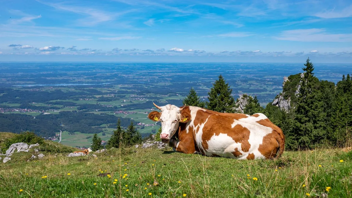 Wetter in Bayern: Sonne-Wolken-Mix in Bayern