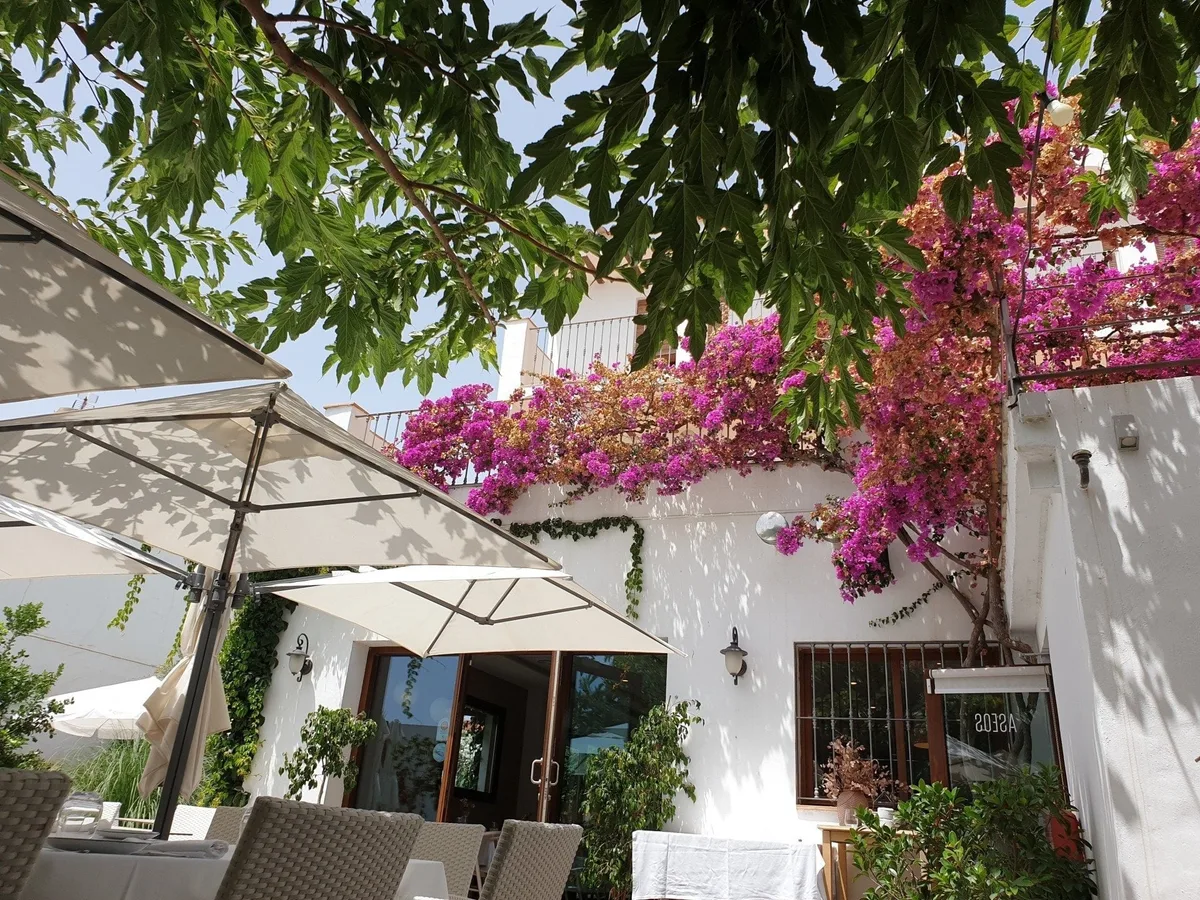 El pueblo donde mejor se come de Valencia es poco conocido, pero ideal para una visita gastronómica: huerta, arroces y dos restaurantes de premio