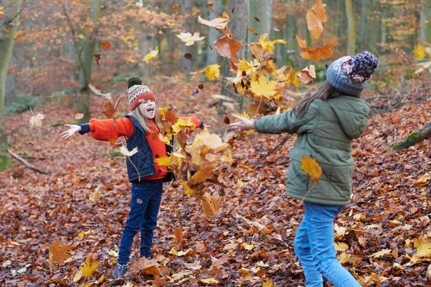 Exact dates as three bank holidays still to come in 2026