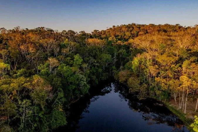 Amazônia tem desmatamento zero em 60% dos territórios indígenas