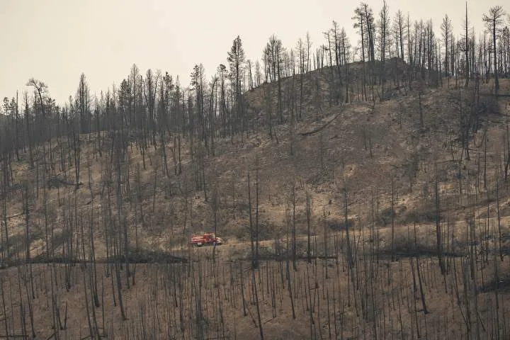 Questions raised about B.C.’s approach to prescribed burns ahead of wildfire season