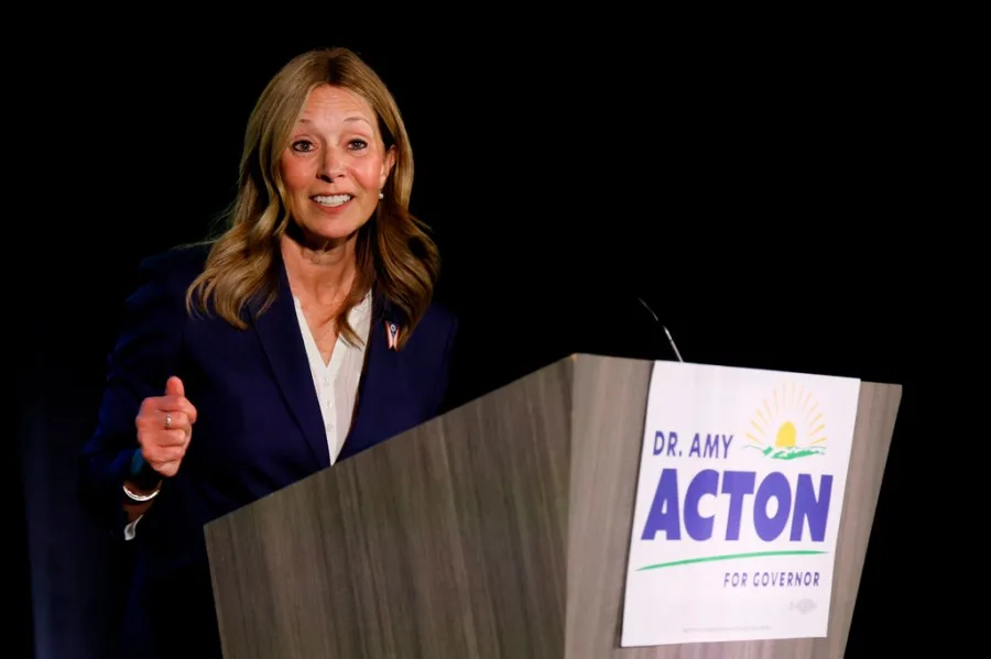Democrats big hope for midterms: governors