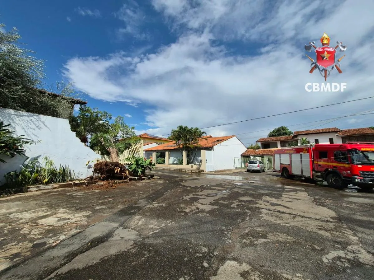 Chuva forte derruba árvore sobre muro de casa no Lago Norte