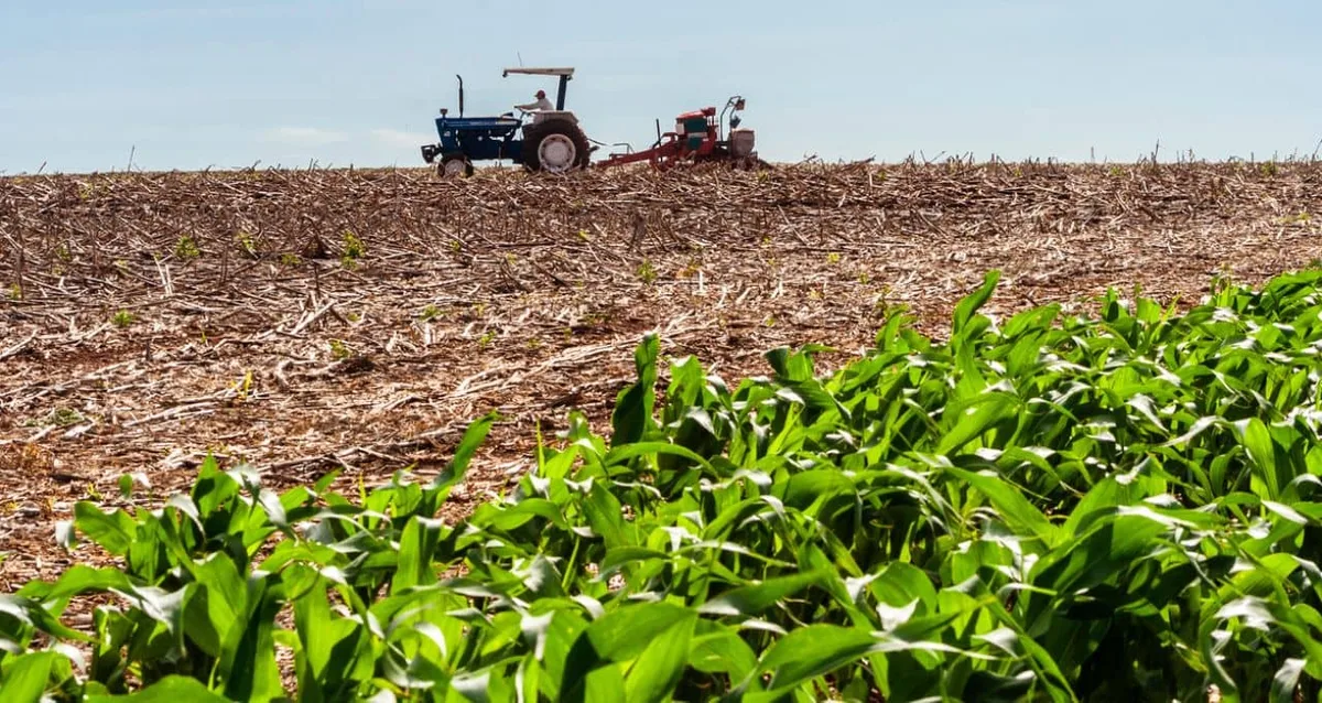 Adecoagro (AGRO): fertilizantes são destaque no 2T26, mas forte impulso pode ter chegado ao fim; é compra?