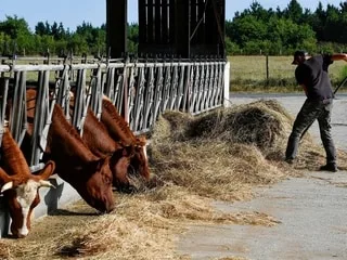 Leurs solutions pour attirer des candidats dans les fermes, « face aux défis écologiques » de l’agriculture française