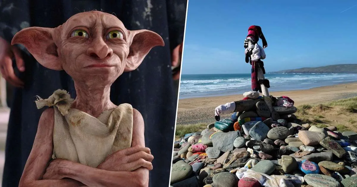 Reino Unido queria instalar cabo submarino de 430 milhões de libras: fãs de Harry Potter mudaram o plano porque ele "pisava no túmulo de Dobby"